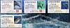 The resident registration certificates of members of a dolphin family living in Ulsan. The certificates are modeled after human registration certificates. [ULSAN NAMGU CITY MANAGEMENT CORP]