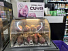 Roasted sweet potato products are displayed at a CU convenience store in Asan, South Chungcheong, on Sept. 19. [JOONGANG ILBO]