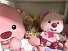Interviewee Jin Yun-ju's collection of Zanmang Loopy-themed products [JIN YUN-JU]