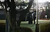Soldiers arrive at the National Assembly in western Seoul in helicopters around midnight Wednesday after President Yoon Suk Yeol declared emergency martial law. [YONHAP]