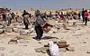 Palestinians gather to collect what remains of relief supplies from the distribution center of the U.S.-backed Gaza Humanitarian Foundation, in Rafah, in the southern Gaza Strip, on June 5, 2025. [REUTERS/YONHAP]