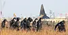 Members of the police special task force search the Jeju Air crash site at Muan International Airport in South Jeolla on Jan. 2. [NEWS1]