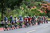Athletes compete in the women's road race at the Hangzhou Asian Games in Zhejiang Province, China on Oct. 4, 2023. [XINHUA/YONHAP]