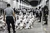 In this photo provided by El Salvador's presidential press office, a prison guard transfers deportees from the United States, alleged to be Venezuelan gang members, to the Terrorism Confinement Center in Tecoluca, El Salvador, on March 16. [EL SALVADOR PRESIDENTIAL PRESS OFFICE/AP]