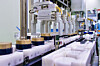 Production is underway at Kolmar Korea's Sejong plant [KOLMAR KOREA]
