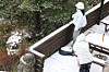 Visitors at Mount Halla in Jeju enjoy the season's first snow on the mountain on Nov. 18. [YONHAP]