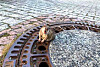 A picture of a rat seen in a drain in a city [REUTERS/YONHAP]