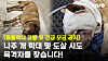 A stray dog that suffered from heavy injuries believed to have been caused by repeated blows from a blunt object was rescued in Naju, South Jeolla, on July 31. [COEXISTENCE OF ANIMAL RIGHTS ON EARTH]