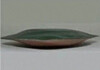 A leaf-shaped North Korean land mine is shown in a photo released by the Joint Chiefs of Staff on June 22. [JOINT CHIEFS OF STAFF]
