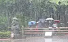 Tourists walk in the rain at Jeolmul Natural Recreation Forest in Jeju Island on May 9. [NEWS1]