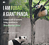 A full-page advertisement said to be printed in New York Times' Tuesday paper, paid for by the DC Inside Bao Family Gallery. [DC INSIDE BAO FAMILY GALLERY]