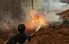 Volunteer firefighters put out wildfires on a mountain near Yeongyang-gun, North Gyeongsang, on March 26. [NEWS1]