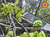 In this photo released by the Italian Alpine and Speleological Rescue Corps on Thursday, April 17, rescuers reach for the smashed gondola of the Mt. Faito cable car near Naples in southern Italy. [AP/YONHAP]