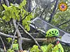 In this photo released by the Italian Alpine and Speleological Rescue Corps on Thursday, April 17, rescuers reach for the smashed gondola of the Mt. Faito cable car near Naples in southern Italy. [AP/YONHAP]