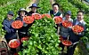 Seasonal farm workers pose for a photo with a farm owner and officials from the National Agricultural Cooperative Federation, commonly known as Nonghyup. [KIM SEONG-TAE]
