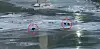 At around 7:30 a.m. on Jan. 9, an employee of Young Poong’s Seokpo zinc smelter in Seokpo-myeon, Bonghwa County, North Gyeongsang, filmed three otters in the river in front of the facility while on the way to work. [YOUNG POONG GROUP]