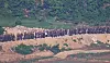 North Korean soldiers work in the inter-Korea border area in the demilitarized one with large troop deployments on June 18, 2024. [JOINT CHIEFS OF STAFF]