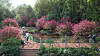 A 3-D rendering image of Yeongjiwon inside Namsan's forest garden. Reflecting the features of traditional Korean gardens, the area incorporates a pond and crape myrtle trees, offering visitors a tranquil space to relax while taking in the natural beauty mirrored in the water. [SEOUL METROPOLITAN GOVERNMENT]