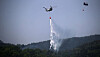 A military helicopter deployed to extinguish the wildfire on Mount Hamji in Daeju is seen spraying water onto forests on April 29. [NEWS1]