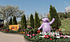 A bear sculpture is seen at the Seoul Botanic Park in Gangseo District, western Seoul [SCREEN CAPTURE]