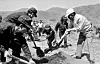 Late president Park Chung Hee, far right, plants a tree in 1973. [JOONGANG ILBO]