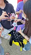 Fans exchange photo cards from the limited package given out to members of BTS's fan club ARMY at the 2024 Festa held on June 13 at the Seoul Sports Complex in southern Seoul. [YOON SO-YEON]