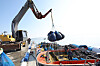 Fishermen transport seaweed in Shinan County, South Jeolla, on Jan. 26, 2024. [NEWS1]