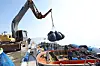 Fishermen transport seaweed in Shinan County, South Jeolla, on Jan. 26, 2024. [NEWS1]