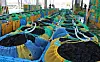 Piles of seaweed in Busan on Feb. 4 [YONHAP]