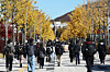 Students walk to classes on the Yonsei University campus in Seodaemun District, western Seoul, on Nov. 10. [NEWS1]