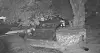 Three men in their 20s shot at four dogs in a restaurant yard in Geoje, South Gyeongsang, killing one and seriously wounding two others, as seen in this surveillance camera footage provided to JTBC. [SCREEN CAPTURE]