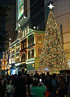 Citizens take photos in front of the Christmas tree installed at the exterior of Lotte Department Store's main branch in central Seoul on Nov. 3. [YONHAP]