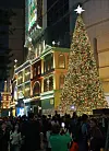 Citizens take photos in front of the Christmas tree installed at the exterior of Lotte Department Store's main branch in central Seoul on Nov. 3. [YONHAP]