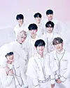 In a digital world, K-pop fandom keeps physical albums alive