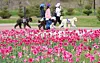 Citizens take a walk around the Hwangsan Park in South Gyeongsang on April 23. [NEWS1]