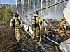 Firefighters work to extinguish a blaze at a park in Gaepo-dong, southern Seoul, on March 22. [GANGNAM FIRE STATION]