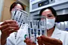 Medical personnel at a public health center in Pohang, North Gyeongsang examine flu vaccines on Thursday, a day before shots become available nationwide. Vaccines will be free for high-risk groups including children under the age of 13, expectant women and elderly people over the age of 65. The first shots will be given to people who have no prior vaccination history or children older than six months and younger than 9 years of age. Vaccination of the elderly is scheduled to begin Oct. 11. [NEWS1]