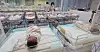 Newborn babies are pictured at a hospital in Incheon on Feb. 26. [YONHAP]