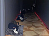 Police offers deployed to the 2025 Asia-Pacific Economic Cooperation (APEC) summit in Gyeongju, North Gyeongsang, sleep in the corridor of a movie theater, in this undated photo released by the Korean National Police Workers Council. [KOREAN NATIONAL POLICE WORKERS COUNCIL]