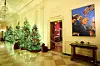 Christmas trees decorate the Cross Hall of the White House during a press preview of the Christmas decorations following the theme 'Home is Where the Heart Is,' on Dec. 1 in Washington. [AP/YONHAP]