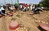 Foreign workers sort potatoes at a farm in Gangeung, Gangwon, on July 9 in this photo unrelated to the story. [YONHAP]