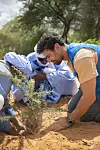 Actor and United Nations High Commissioner for Refugees (UNHCR) Goodwill Ambassador Theo James, right, plants a tree at the Mbera Refugee Camp in Mauritania with Ahmed Ould Ibrahim, head of SOS Desert’s office in the camp, left, and Mohamed Ag Malha, a physics professor and refugee from Mali, center, on Oct. 8. 2024. [UNITED NATIONS HIGH COMMISSIONER FOR REFUGEES]