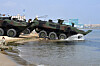 U.S. Marines practice driving amphibious combat vehicles into the sea at a beach in Pohang, North Gyeongsang, on Sunday, a day before the start of the Ssangyong joint landing exercise. [NEWS1]