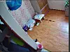 An elderly assaulted by a caretaker recorded on CCTV [SCREEN CAPTURE]