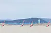 William McMillan of Thailand, Ikeda Kensei of Japan, Lee Tae-hoon of South Korea and Oh Elkan Reshawn of Singapore compete during the men's windsurfing iQFoil race at the 19th Asian Games in Ningbo, China on Saturday. [XINHUA]