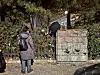 A citizen tries to climb over the National Assembly wall in western Seoul on Dec. 3. [CHEA SARAH]