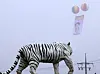 Balloons carrying congratulatory messages float near BTS member J-Hope's military base in Wonju, Gangwon, on Oct. 17. [NEWS1]
