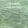 A swarm of jellyfish appears on a beach in Jeju. The bright blue, mold-like creatures are identified as 'Porpita umbrella.' [SCREEN CAPTURE]