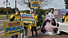 Members of the animal rights group advocating for panda Fu Bao's health hold a rally near Hwangridan-gil in Gyeongju, North Gyeongsang, on Oct. 30. [NEWS1]