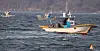 Fishers work in the waters off Jeo Island, the northernmost fishing ground in the East Sea on April 17. [YONHAP]